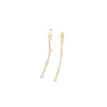 Elegant Shine Dangles Earrings